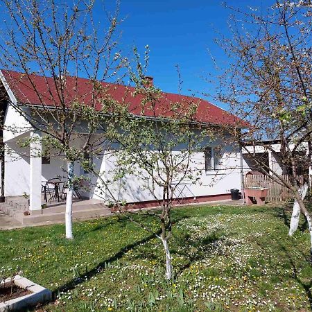Apartman Dijelovi بييلينا المظهر الخارجي الصورة